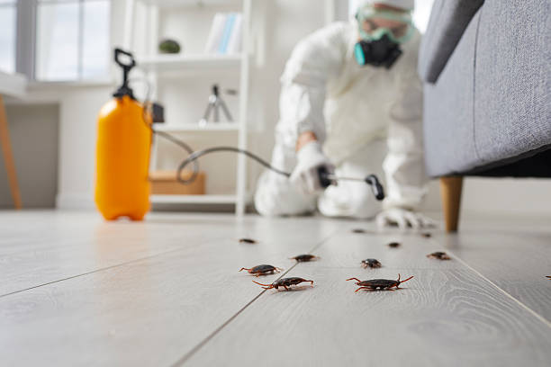 Commercial Rodent Management in Lake Delton